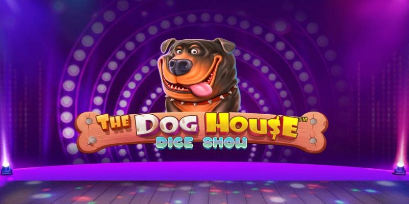 The Dog House Slot Review: Features, Tips & Mobile