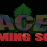 The Laced Slot: Truth or Myth? Unlocking the Secrets of High-Payout Machines